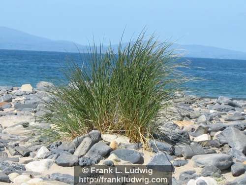 Streedagh Strand